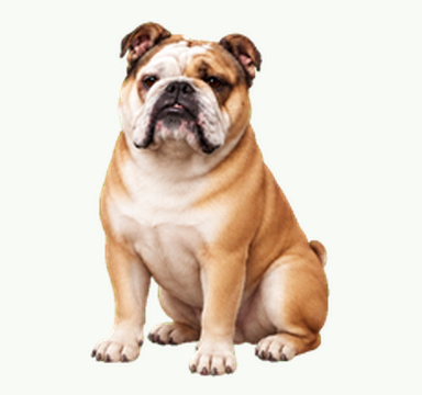 Winston