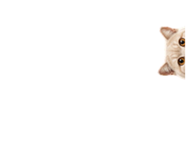 ჭიტა!