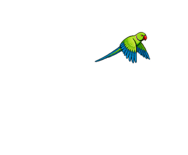 Zazu