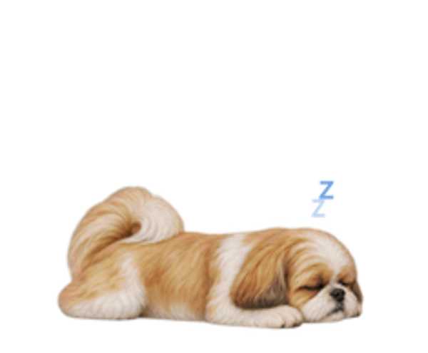დასვენება